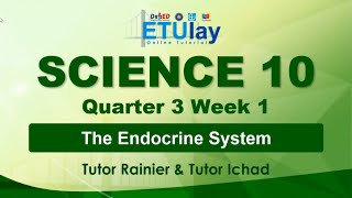 The Endocrine System || Grade 10Science || Quarter 3 Week 1