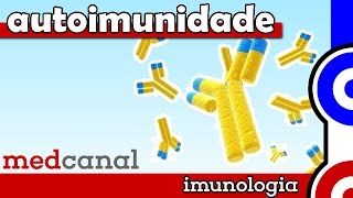 Autoimunidade | IMUNOLOGIA (Vídeo 11)