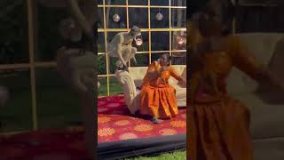 #viralvideo #monckey #shortvideos #wedding #funny #video #comedy #viral #love #mankey #shortvideos