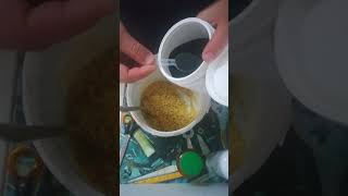 Spirulina kullanımı saka kuşu