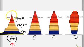 bio 3-6-19 human population growth & age structure