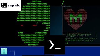 ازاي تزل أداة Ngrok علشان تعمل اخترا*ق خارجي ب Metasploit و ماهي Ngrok