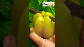 Organic Fruit Farming 🥝🍐🍈🍊 #fruitfarming #organic #starfruit #fruitcutting #fruit @Food-home14G