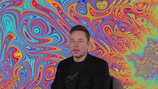 Elon Musk has a Mental Breakdown to Completion