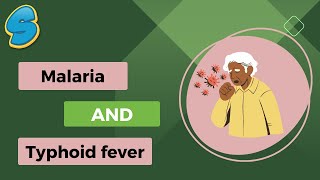 Malaria and Typhoid Fever (በአማርኛ) Grade 9 Biology Unit 4 Part 5