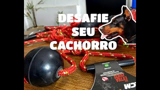 Bola Desafiadora Para Seu Cachorro !!!