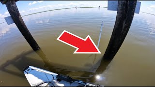 This oil and gas pipeline pole held my first Louisiana Sheepshead!