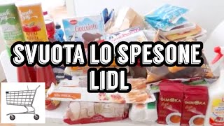 100€ da LIDL 😱 | MIO MARITO SVUOTA LA SPESA 🛒 | Elenatwinklehome