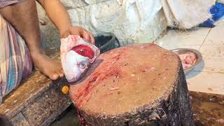 Fish Cutting Bangladesh video vol 166