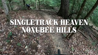 Riding Charlotte's Web - MTB XC  in the Tombigbee National Forest, MS