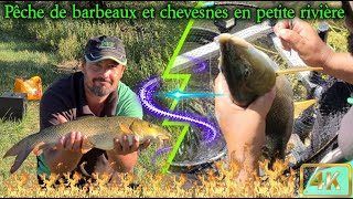 Pêche de barbeaux et chevesnes en petite rivière ( je casse ma canne )