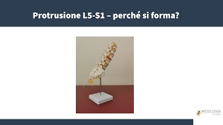 protrusione discale L5 - S1 - perchè si forma?