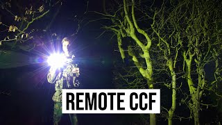 Remote CCF Week 2