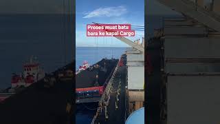 Muat Batu bara dari Tongkang ke Kapal Cargo #shorts #kapal #viral #short #shortvideo #ship #vessel