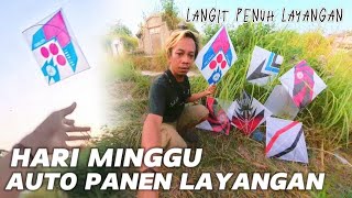 DAG DIG DUG RASANYA KETIKA BANYAK LAYANGAN PUTUS | MENGEJAR LAYANGAN PUTUS