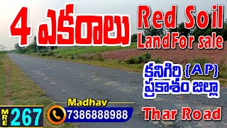 4 ఎకరాల వ్యవసాయ భూమి -  Land For Sale - కనిగిరి - ప్రకాశం జిల్లా #Medhanshi RealEstate || 7386888988