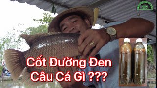 Fishing Cốt Đường Đen câu Chép Phi Diều Hồng Tai Tượng Đều Ăn