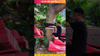 রহস্যময় আর্ট(পর্ব-১৬)🤯woodworking art skill/mini wood-hand craft ideas-#shorts #facts #artandcraft