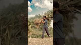 गांव 🌾🌾 better life #shortvideo #viralvideo ❣️ #explore