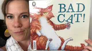 Bad Cat by Nicola O’Byrne read aloud by Mrs C @mrscsstorytimeonline4343