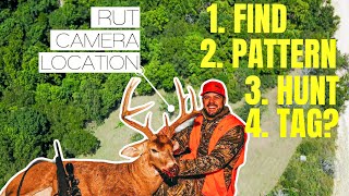 How I PATTERNED & TAGGED My MATURE BUCK