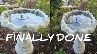 Bird Bath Clean up🦜/ Steak in Fruit Tree/🌴 Overview Of Pollination Garden 💐 "Zone 7B Waldorf MD"