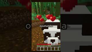 MINECRAFT'TA PANDALAR HAKKINDA BİLİNMESİ GEREKEN GERÇEK 🐼