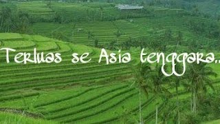 Jati Luwih The Largest and most beautiful terrace rice field in Bali