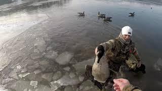 Icy river duck and goose hunt (COLD!)