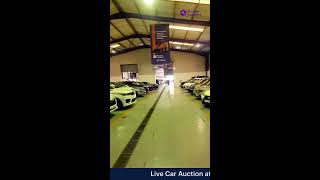 Live Auction