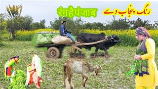 Unseen village life| Traditional village culture| Full desi moul| daily village routine