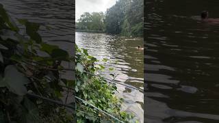 Swimming in a pond #hampsteadheath #londonvlog #shorts