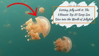 Getting Jelly with it: The Ultimate Top 10 Deep Sea Dive into the World of Jellyfish