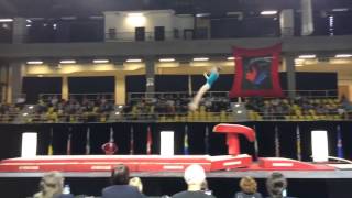 Megan Roberts Vault Gymnix 2015