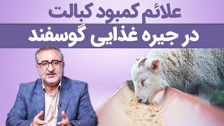 علائم کمبود کبالت در جیره غذایی گوسفند