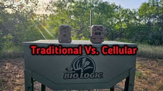 Cellular or Traditional Trail Camera (Which to choose)