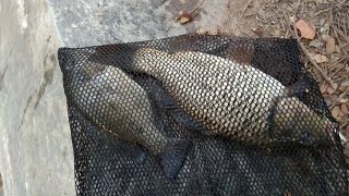 Mancing ikan tombro bayar seiklasnya