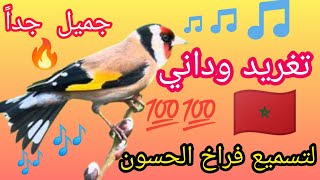 أجمل تغريد ويداني 🎶خال من الأخطاء 💯لتسميع الفراخ مجرب 👌