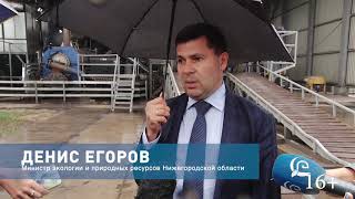 Чистая струна: на месте самой большой в Европе свалки ТБО «Игумново» появилось зеленое поле (16+)