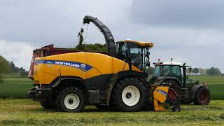 gras hakselen/gras chopping/Thomas Nijs/New holland fr600/Fendt 820 /New holland t7.260-t7.230/dewa