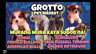 Grotto sunday mass Animal sale : Tara na