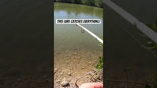 I NEVER had this happen BEFORE! #fishing #shorts #youtubeshorts #outdoors #nature #fishing #fish