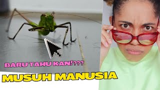 Baru Tau kan"!?? Musuh Manusia Ini!!!"#YuotubeVidio