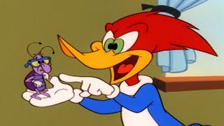 Woody vs the Cockroach | 1 Hour of Woody Woodpecker Full Episodes