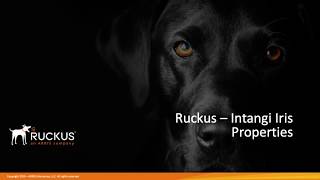 Ruckus - Intangi Iris Part 3 - Properties