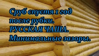 Дом из бревна ручной рубки спустя 1 год после сборки.