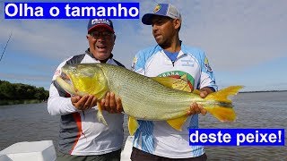 TV Pesca & Companhia - Pescaria apoitada de dourado