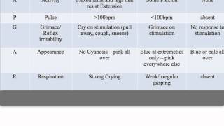 APGAR Score