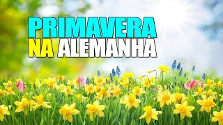 COMO É A PRIMAVERA AQUI NA ALEMANHA