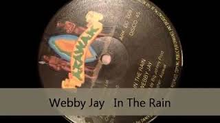 Webby Jay - in The rain